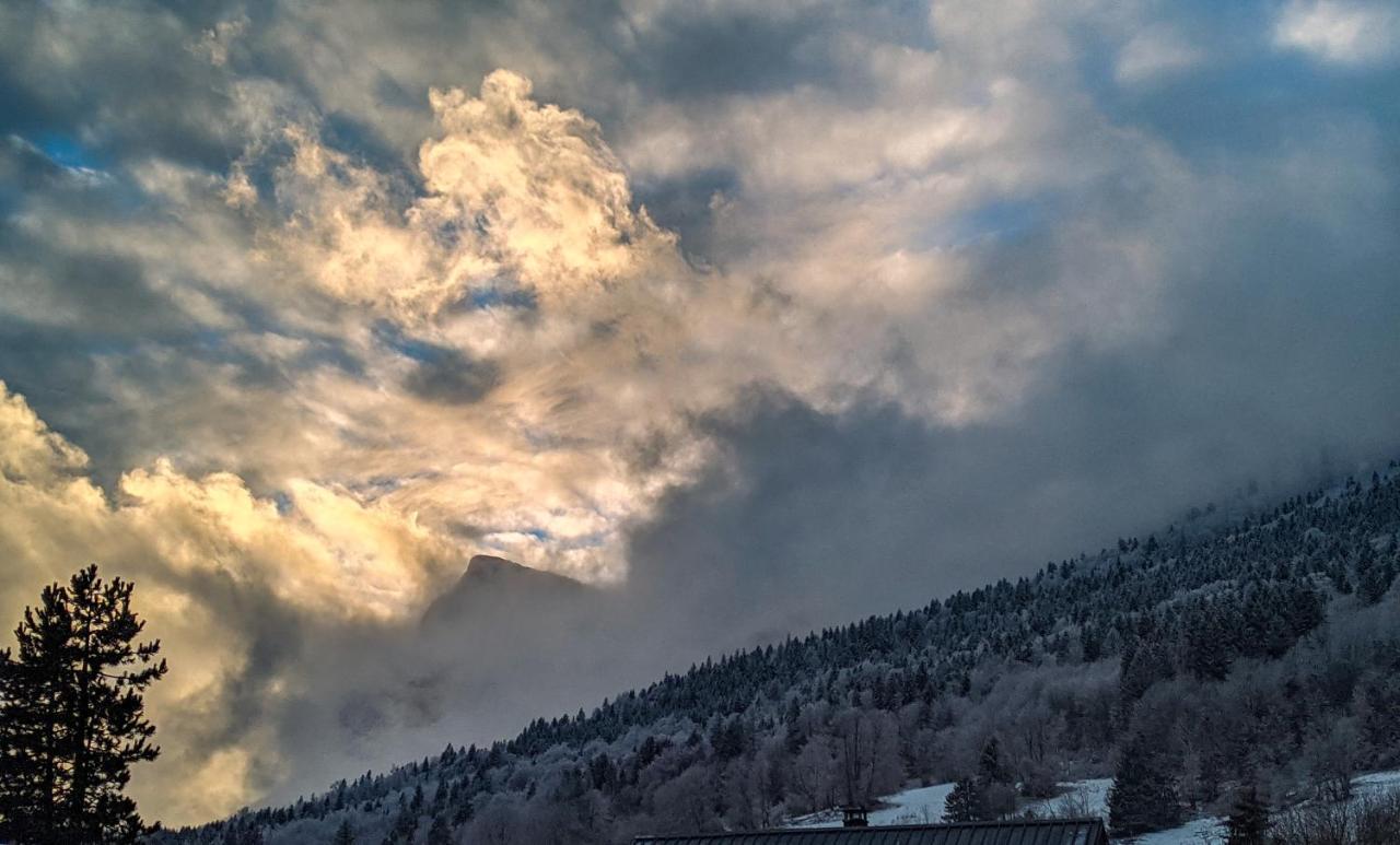 Appartement De Plain-Pied En Montagne Avec Vue Merveilleuse Sur Le Massif De Belledonne Saint Bernard du Touvet Exteriér fotografie